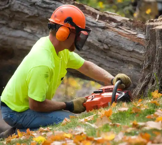 tree services Topaz Ranch Estates